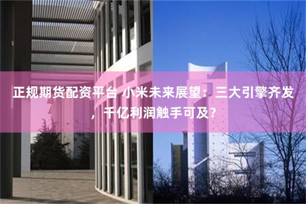正规期货配资平台 小米未来展望：三大引擎齐发，千亿利润触手可及？