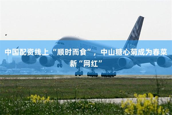 中国配资线上 “顺时而食”，中山糖心菊成为春菜新“网红”