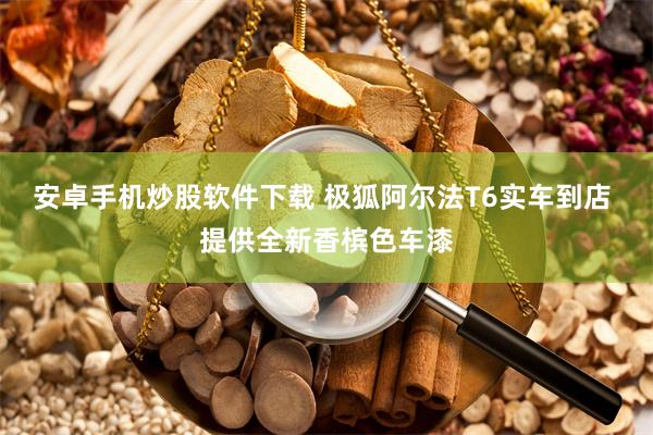 安卓手机炒股软件下载 极狐阿尔法T6实车到店 提供全新香槟色车漆