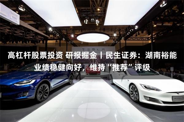 高杠杆股票投资 研报掘金丨民生证券：湖南裕能业绩稳健向好，维持“推荐”评级