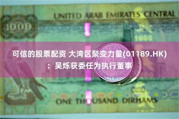 可信的股票配资 大湾区聚变力量(01189.HK)：吴烁获委任为执行董事