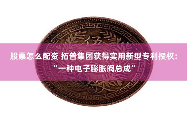 股票怎么配资 拓普集团获得实用新型专利授权：“一种电子膨胀阀总成”