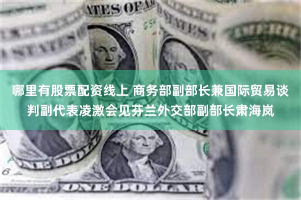 哪里有股票配资线上 商务部副部长兼国际贸易谈判副代表凌激会见芬兰外交部副部长肃海岚