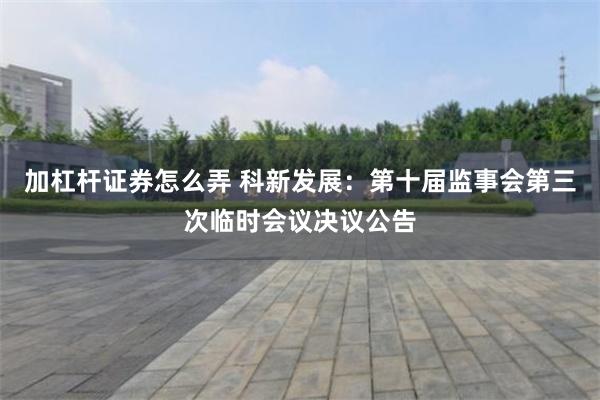 加杠杆证券怎么弄 科新发展：第十届监事会第三次临时会议决议公告