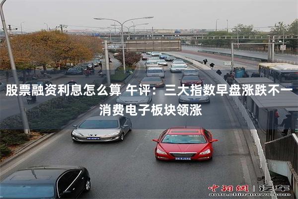 股票融资利息怎么算 午评：三大指数早盘涨跌不一 消费电子板块领涨